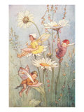 Garden Fairies