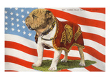 Marine Corp Boxer Dog with Flag