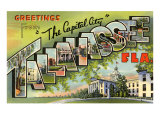 Greetings from Tallahassee  Florida