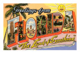 Greetings from Florida  Land of Sunshine
