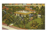 Ernest Hemingway Home  Key West  Florida