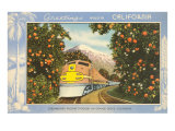 Greetings from California  Train through Orange Groves