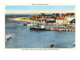 Martha's Vineyard  Massachusetts