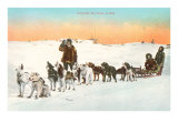 Sled Dog Team