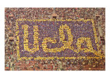 UCLA Stadium Card Display  Los Angeles  California