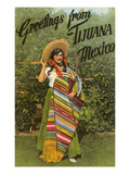 Greetings from Tijuana  Senorita in Sarape