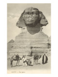 Sphinx  Giza  Egypt