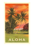 Aloha: Palm Trees