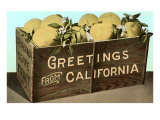 Crate of Grapefruit