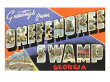 Greetings from Okefenokee Swamp  Georgia
