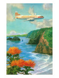 Airliner over Hawaii