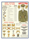 Army Officers Insignia