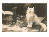 The Bookkeepers  Cats on Desk