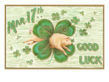 St Patrick's Day  Pig and Shamrock