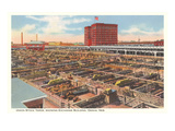 Union Stockyards  Omaha  Nebraska