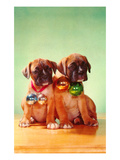 Boxer Puppies with Christmas Bulbs
