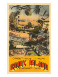 Greetings from Coney Island  Cincinnati  Ohio