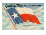 State Flag of Texas