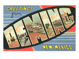 Greetings from Deming  New Mexico