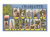 Greetings from Charlotte  North Carolina