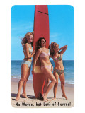 No Waves But Lots of Curves  Three Surfer Girls