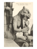 Gargoyle on Notre Dame  Paris