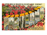 Greetings from Portland  Oregon