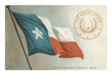 State Flag of Texas