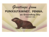 Groundhog  Greetings from Punxsutawney  Pennsylvania