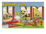 Greetings from University of New Mexico  Albuquerque  New Mexico
