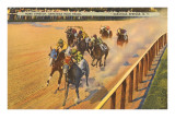 Horse Racing  Saratoga Springs  New York