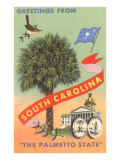 Greetings from South Carolina  The Palmetto State