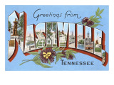 Greetings from Nashville  Tennessee