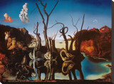 Swans Reflecting Elephants  c1937