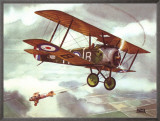 Sopwith Camel  1917