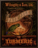 Turmeric