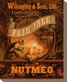 Nutmeg