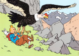 Tintin and the Condor