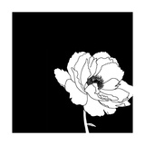 Black and White Print with Large White Flower