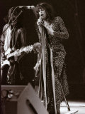 Steve Tyler Lead Singer of the Band Aerosmith in Concert at Pontiac Stadium  Detroit  USA  May 1976