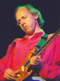 Mark Knopfler  Formerly of Dire Straits  Playing with His Alternative Band the Notting Hillbillies