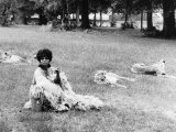 Eartha Kitt Singer Actress at Windsor Safari Park in the Cheetah Enclosure