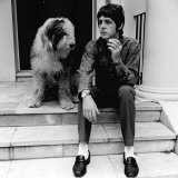 Paul Mccartney Singer with the Beatles at His St John's Wood House with His Pet Dog June 1967