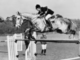 Columbus the Horse of Princess Anne Clearing Obstacale in Jumping Section of Windsor Horse Trials