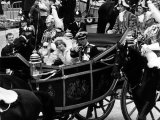 Prince Charles and Lady Diana Spencer Royal Wedding