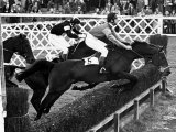 Prince Charles Horseracing  January 1981 Riding Allibar at Ludlow Races