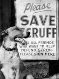 Scruff Beside a Placard Place Outside Home  Asking Friends to Add Signatures to the Petition