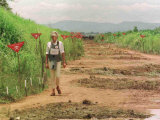 Princess Diana in Minefield Outside Haunbo Angola Endorsing the Red Cross Campaign