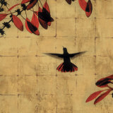 Colibri II