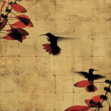 Colibri I